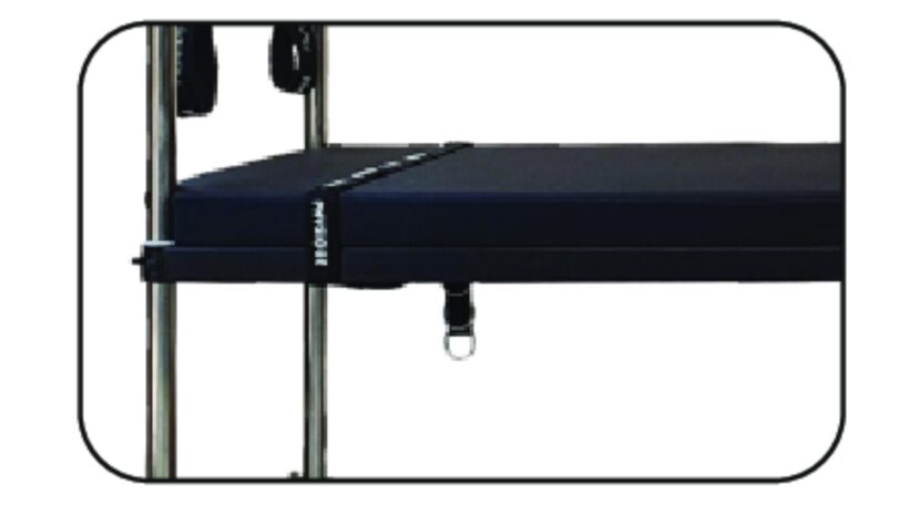 Adjustable Height Cushioned Bed